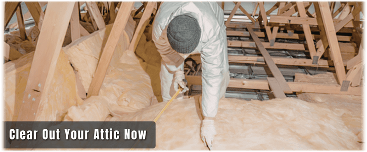 Attic Cleaning Philadelphia